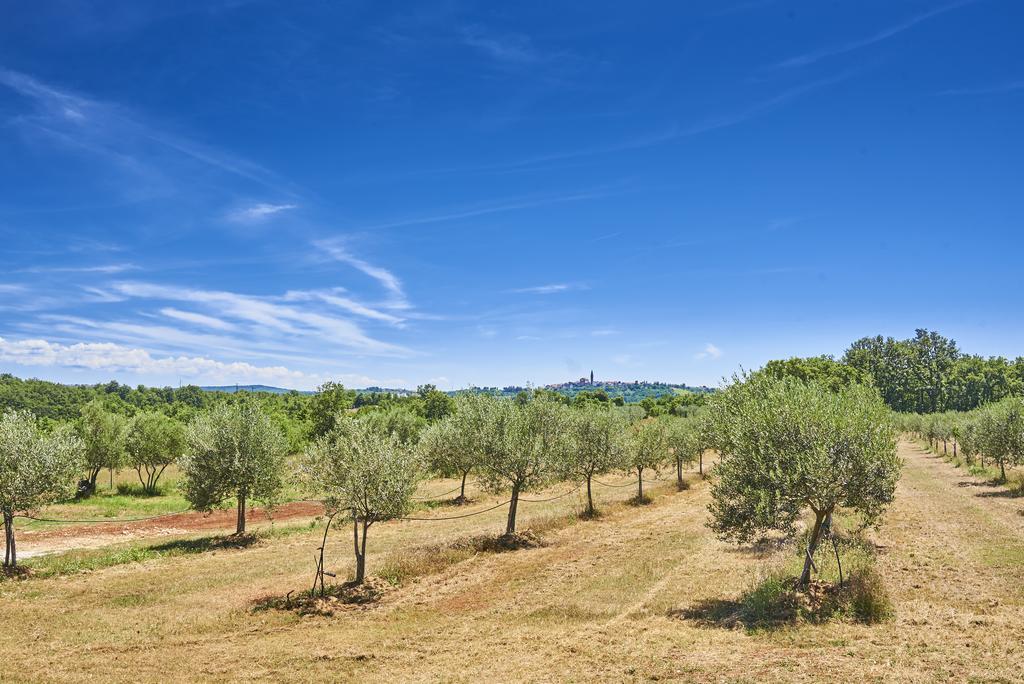 Villas Montrin Kaštel Εξωτερικό φωτογραφία